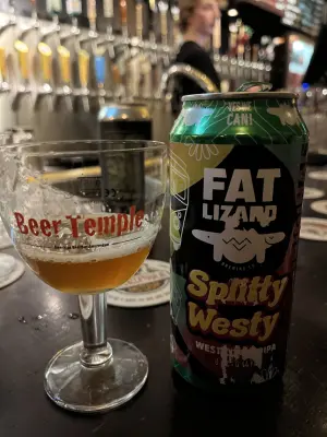 CraftBeerNick's photo of Splitty Westy