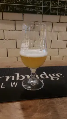 Gurthnar's photo of Enzo IPA 13°