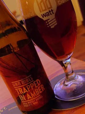 TomHendriksen's photo of Trapped in Amber