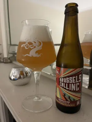 CraftBeerNick's photo of Brussels Calling 2025