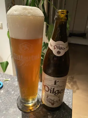 Borresteijn's photo of Pilger Naturtrüb