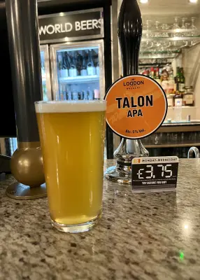 Grumbo's photo of Talon APA