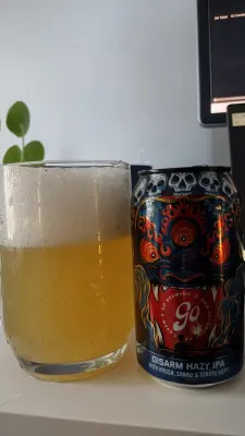 Clarkvv's photo of Disarm Hazy IPA