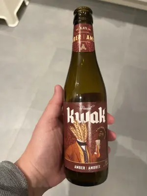 Bbcplux's photo of Pauwel Kwak