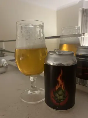CraftBeerNick's photo of Signal To Burn