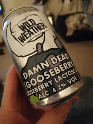 minutemat's photo of Damn Dead Gooseberry