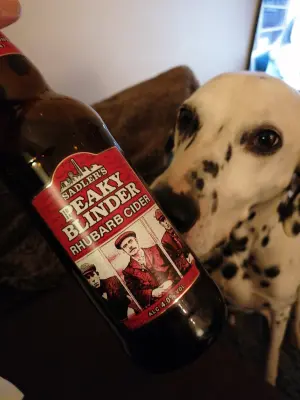 minutemat's photo of Peaky Blinder Rhubarb Cider