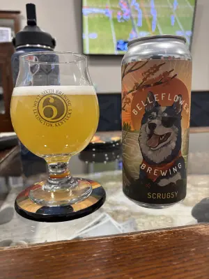 Jow's photo of Scrugsy (Galaxy)
