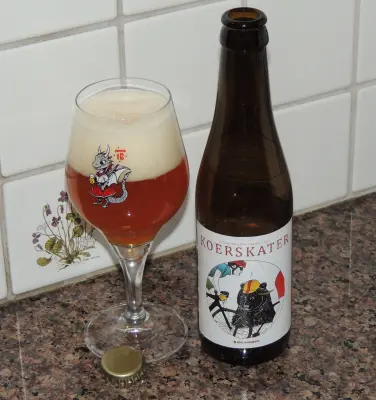RudiGR's photo of Koerskater