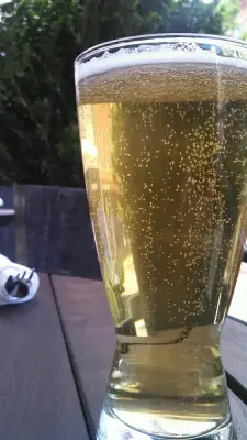 Dogbrick's photo of 8 Second Kölsch