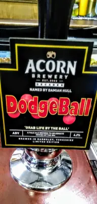 Olut's photo of Dodgeball