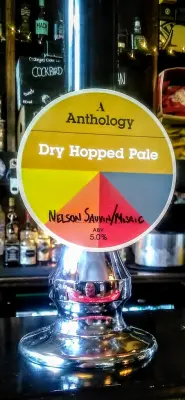 Olut's photo of Dry Hopped Pale Nelson Sauvin Mosaic