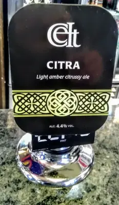 Olut's photo of Citra