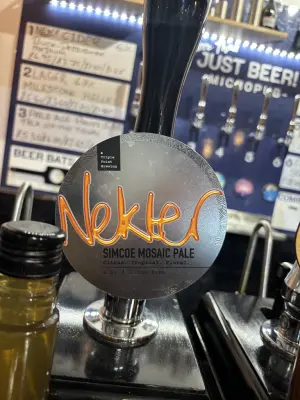 Mr_Pink_152's photo of Nekter - Simcoe Mosaic Pale