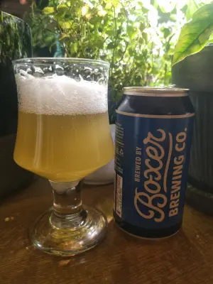 Arsol's photo of Lazy Ale
