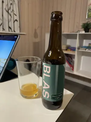 Ken1's photo of Czech-style Lager