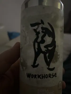 Nisse666's photo of Workhorse