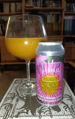 Pindolaire's photo of Apricot x Orange x Lemon x Vanilla Smoothie Sour Ale
