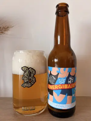 Kita's photo of Energibajer