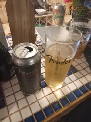 LordAlwold1970's photo of Fender Plug-in Craft Lager