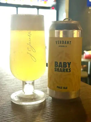 jimgreen's photo of Baby Sharks