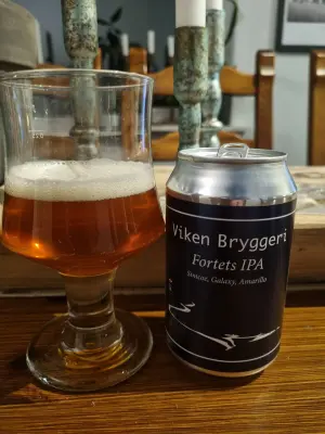 Arsol's photo of Fortets IPA