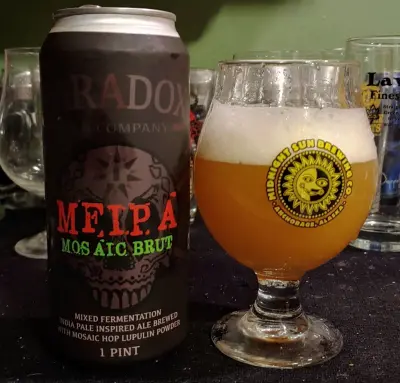 CoastGuardVet's photo of Beer MFIPA: Mosaic Brut
