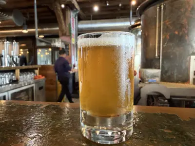 Kermis's photo of IPA (February 2026)