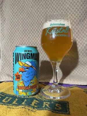 bhensonb's photo of Wingman Tropical Storm