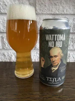 IpaPils's photo of Wattomá No IBU