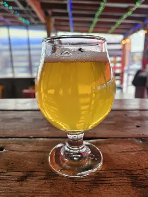 Staleandfunny's photo of Pliny the Younger (2026)