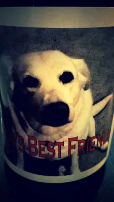 Dogbrick's photo of Man's Best Friend