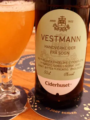 TomHendriksen's photo of Vestmann
