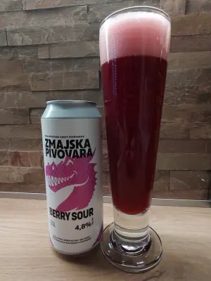 Pivodlak's photo of Berry Sour