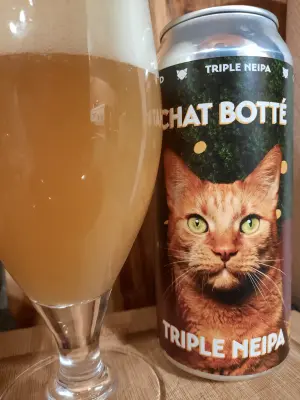 Metalchopz's photo of Chat Botté