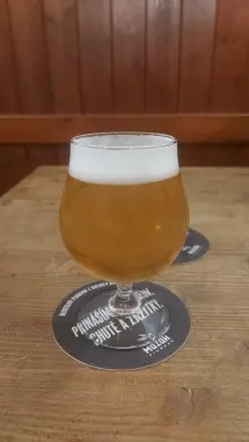 Gurthnar's photo of 13 Single Hop Ale Jupiter
