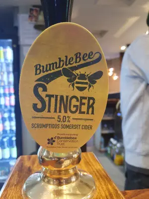 BlackHaddock's photo of Stinger