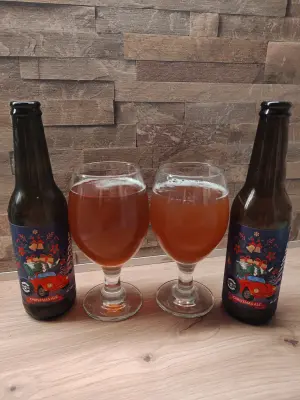 Pivodlak's photo of Christmas Ale