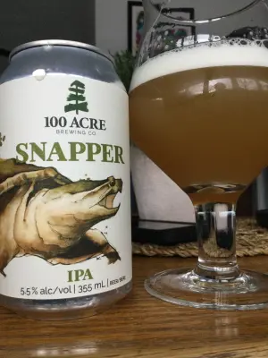 Tessic's photo of Snapper