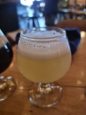 Lubiere's photo of New Belgian Session IPA