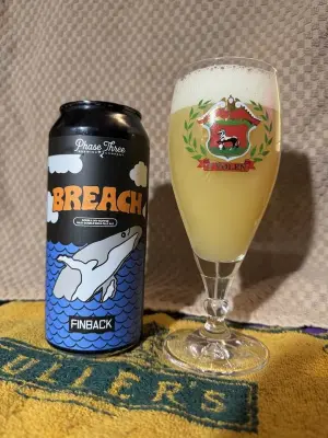 bhensonb's photo of Breach