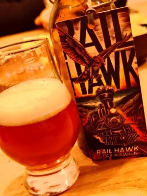 TomHendriksen's photo of Rail Hawk Tarwewijn