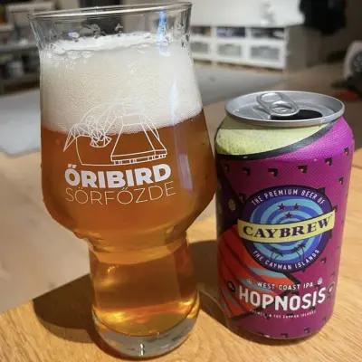 kurtthomsen's photo of Hopnosis