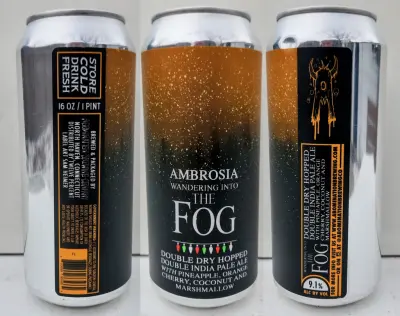 Fredis23's photo of Wandering Into the Fog - Ambrosia