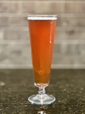 PLohbauer's photo of Rainbow Colored Glasses