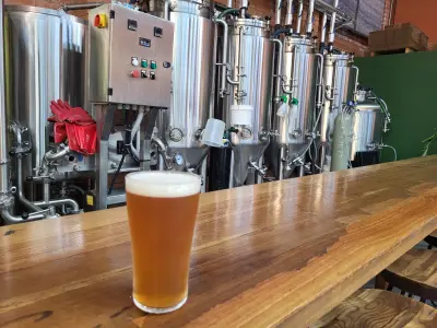 danlo's photo of Dandelion Gruit