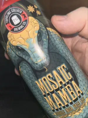 Nisse666's photo of Mosaic Mamba