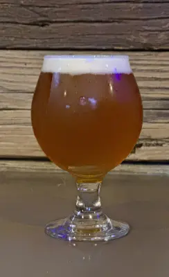 PLohbauer's photo of Space Dust IPA