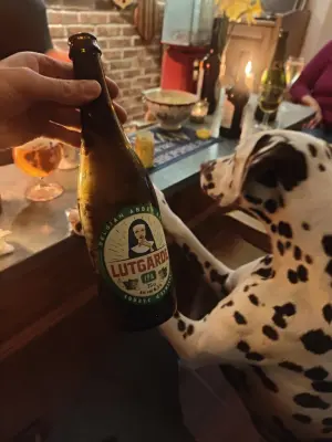 minutemat's photo of Lutgarde IPA