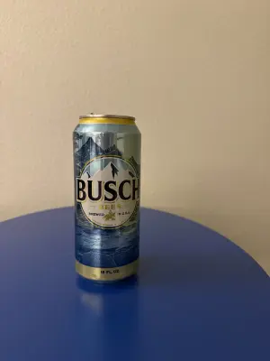 Chris_Ofstad's photo of Busch Beer